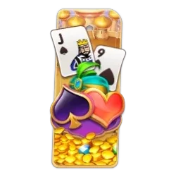 29 Cards